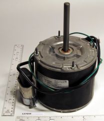 00317804.jpg